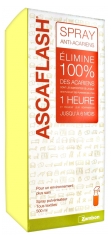 Zambon Ascaflash Spray Anti-Acariens 500 ml