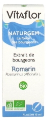 Vitaflor Naturgem Estratto di Gemme di Rosmarino Bio 15 ml Vitaflor Naturgem Estratto di Gemme di Rosmarino Bio 15 ml