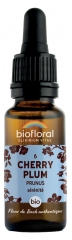 Biofloral Bach Flowers 06 Cherry Plum Organic 20ml Biofloral Bach Flowers 06 Cherry Plum Organic 20ml