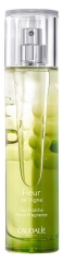 Caudalie Fleur de Vigne Fresh Fragrance 50ml Caudalie Fleur de Vigne Fresh Fragrance 50ml