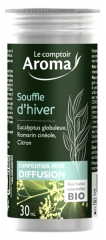 Le Comptoir Aroma Composition pour Diffusion Souffle d'Hiver 30 ml