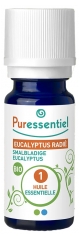 Puressentiel Eucalyptus Radiant Essential Oil (Eucalyptus Radiata) Organic 30ml Puressentiel Eucalyptus Radiant Essential Oil (Eucalyptus Radiata) Organic 30ml