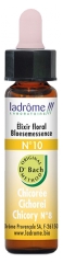 Ladrôme Bach Flower Remedies No. 10: Chicory Organic 10 ml