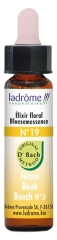 Ladrôme Flowers of Bach Floral Elixir N°19: Beech Organic 10ml Ladrôme Flowers of Bach Floral Elixir N°19: Beech Organic 10ml