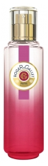 Roger & Gallet Eau Fraîche Parfumée Gingembre Rouge 30 ml