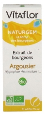 Extrait de Bourgeons Argousier Bio 15 ml Extrait de Bourgeons Argousier Bio 15 ml