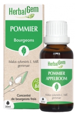 HerbalGem Organic Apple Tree 30ml