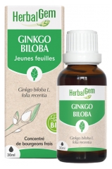 HerbalGem Organic Ginkgo Biloba 30ml