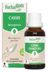 HerbalGem Organic Blackcurrant 30ml