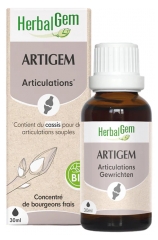 HerbalGem Organic Artigem 30ml