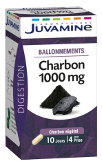 Juvamine Charbon 1000 mg 40 Gélules