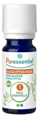 Puressentiel Eucalyptus Radiant Essential Oil (Eucalyptus Radiata) Organic 30ml