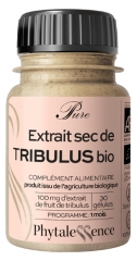 Phytalessence Pure Tribulus Organic 30 Capsule