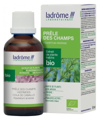 Extrait de Plante Fraîche Bio Prêle des Champs 50 ml Extrait de Plante Fraîche Bio Prêle des Champs 50 ml