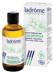 Huile Végétale de Calophylle Bio 100 ml Huile Végétale de Calophylle Bio 100 ml