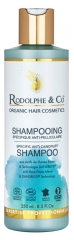 Rodolphe &amp; Co Shampoing Antipelliculaire Bio 250 ml