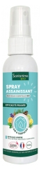 Spray Assainissant aux 20 Huiles Essentielles Bio 100 ml Spray Assainissant aux 20 Huiles Essentielles Bio 100 ml