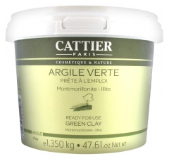 Cattier Ready For Use Green Clay 1,350 kg Cattier Ready For Use Green Clay 1,350 kg