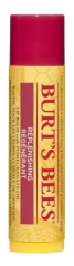 Burt's Bees Pomegranate Moisturizing Lip Balm 4,25g Burt's Bees Pomegranate Moisturizing Lip Balm 4,25g