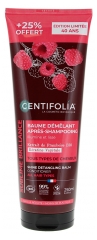 Centifolia Organic Detangling Conditioner 250 ml Centifolia Organic Detangling Conditioner 250 ml