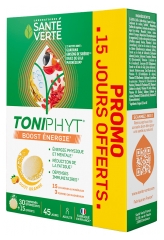Santé Verte Toniphyt Boost Énergie 45 Comprimés Santé Verte Toniphyt Boost Énergie 45 Comprimés