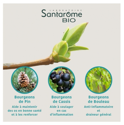 Santarome Confort Articulaire Bio 30 ml