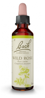 Fleurs de Bach Original Wild Rose 20 ml