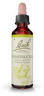 Fleurs de Bach Original Honeysuckle 20 ml