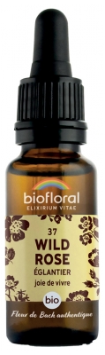 Biofloral Organic Bach Flowers Remedies Vitality Joie de Vivre Wild Rose n°37 20 ml Biofloral Organic Bach Flowers Remedies Vitality Joie de Vivre Wild Rose n°37 20 ml