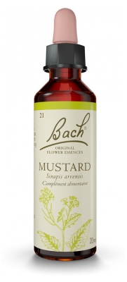 Fleurs de Bach Original Mustard 20 ml
