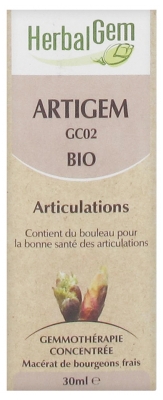 HerbalGem Organic Artigem 30ml HerbalGem Organic Artigem 30ml
