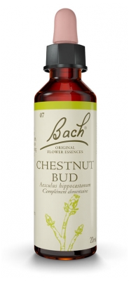 Fleurs de Bach Original Chestnut Bud 20 ml