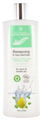 Montbrun Shampoing à l'Eau Thermale Cheveux A Pellicules Antipelliculaire Bio 250 ml