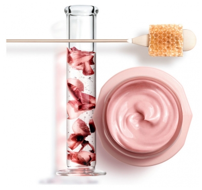 Vichy Neovadiol Rose Platinium Crème Rose Fortifiante et Revitalisante 50 ml
