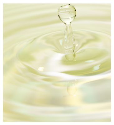 PATYKA Pure Lotion Purifiante Équilibrante Bio 200 ml