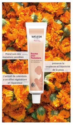 Weleda Baume Pour Mamelons 25 ml