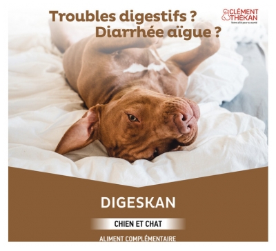 Clément Thékan Digeskan Pâte Orale Chats et Chiens 60 ml