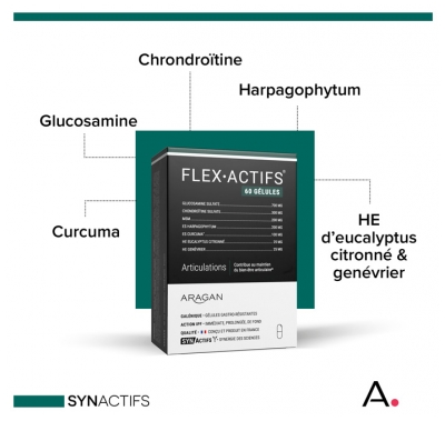 Aragan Synactifs FlexActifs 60 Gélules