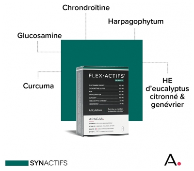Aragan Synactifs FlexActifs 60 Gélules