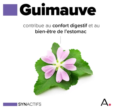 Aragan Synactifs StomaProtect Bio 14 Comprimés