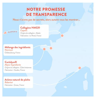 Nutri&Co Collagène Marin Type I & II Arôme Pêche 190 g