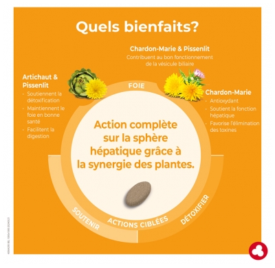 Ortis Foie DépurFoie 60 Comprimés