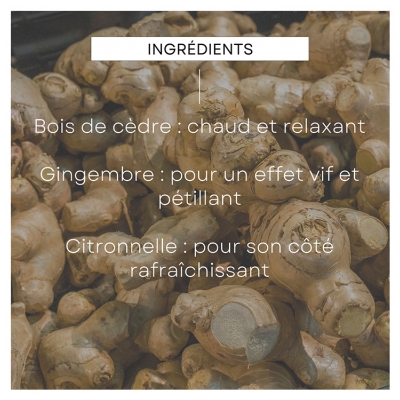 Weleda Homme Gel Douche Energy Fresh 3en1 Lot de 2 x 200 ml