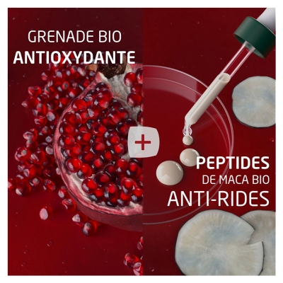 Weleda Trousse Routine Raffermissante Grenade Maca