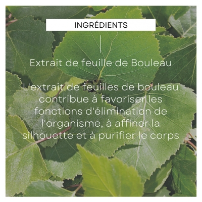 Weleda Huile de Massage Minceur au Bouleau 100 ml