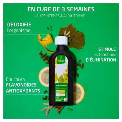 Weleda Jus de Bouleau Bio Lot de 2 x 250 ml