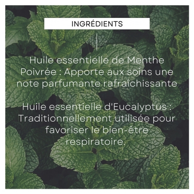Weleda Déodorant Stick Eucalyptus Menthe Poivrée 50 g