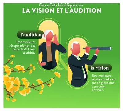 Nutri&Co Ginkgo Biloba 120 Gélules