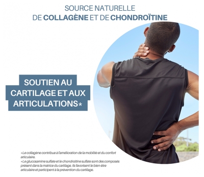 Orthonat Cartilage de Requin 60 Gélules