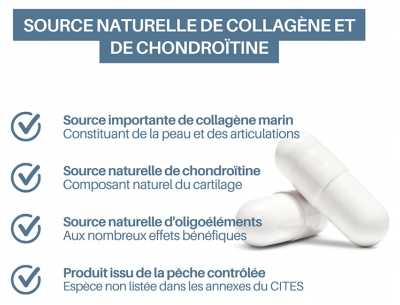 Orthonat Cartilage de Requin 60 Gélules